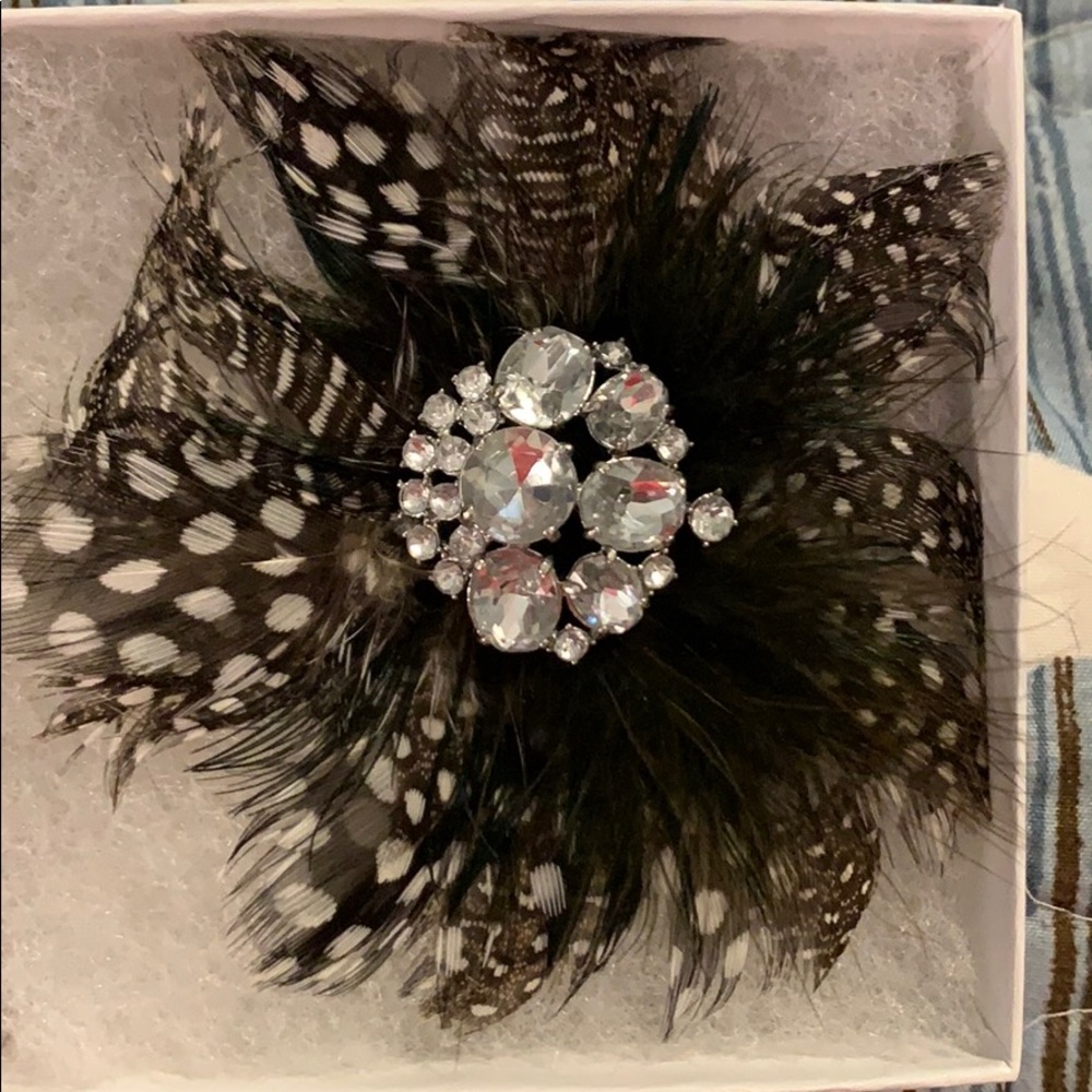 Gorgeous Stella and Dot Broach